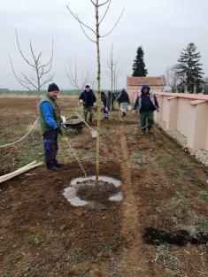 Výsadba stromů jaro 2022