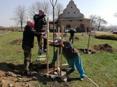 Výsadba stromů jaro 2020